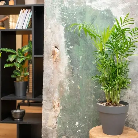 Loft Urban Garden: 4 People - Wifi Fiber - Terrace Apartment Grenoble