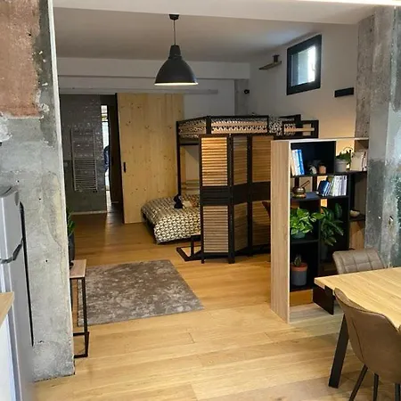 Apartment Loft Urban Garden: 4 People - Wifi Fiber - Terrace Grenoble